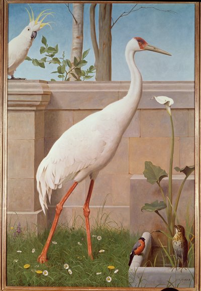 Grulla india, cacatúa, camachuelo y zorzal de Henry Stacey Marks